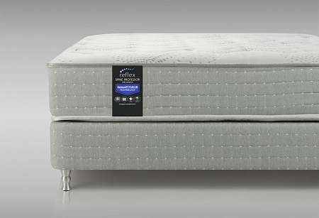 Reflex Spine Professor H3