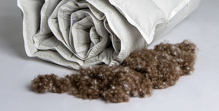 Одеяло Trois Couronnes Royal Wild Duck Down 