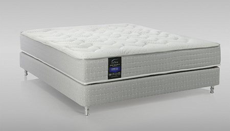 Reflex Spine Balance H2