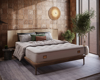 Trois Couronnes Sovereign Yearling