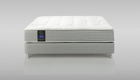 Reflex Radon R1