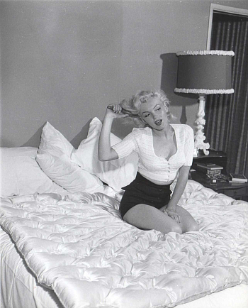 Одеяло Alfabed Fiori QQ 350