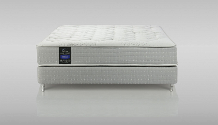 Reflex Spine Expert H4