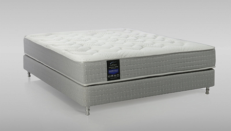 Reflex Healthy Spine H3