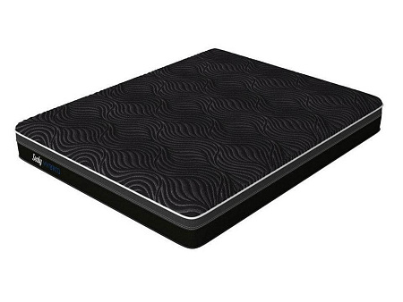 Sealy Hybrid Plush RE