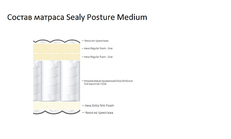 Sealy Posture Medium