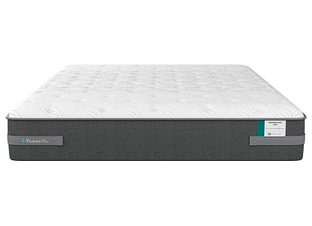 Sealy Posture Plus Firm