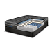 Sealy Hybrid Plush RE
