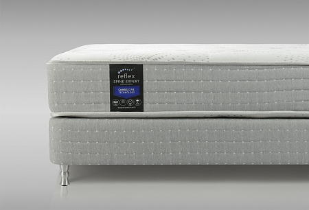 Reflex Spine Expert H3