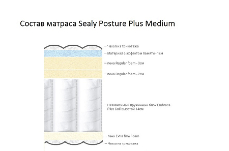 Sealy Posture Plus Medium