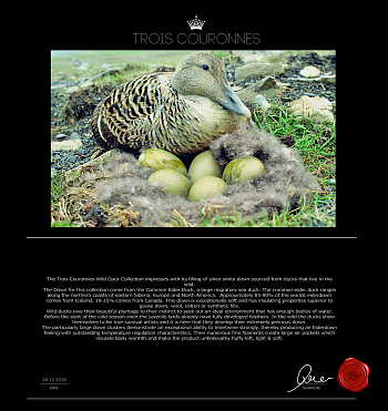 Подушка Trois Couronnes Saint Eider down 3 chamber Noble Silk