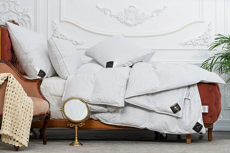 Одеяло Trois Couronnes Royal Wild Duck Down 